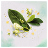 Spar King-Herbal Essences Pure Renew Geschmeidigkeit Pflegespülung Moringaöl 200 ml