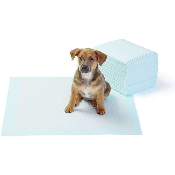 Spar King-Basics Puppy Pads Hygieneunterlagen für Haustiere 56 x 56 cm Saugstark 50 Stück