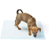 Spar King-Basics Puppy Pads Trainingsunterlagen für Welpen Haustiere 56 x 56 cm 100er Pack