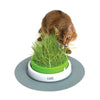Spar King-Catit Grass Planter Senses 2.0 Katzen-Grastopf Natürliche Ballaststoffquelle