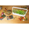 Spar King-Emsa 5260700 Click And Grow Substratkapsel Chili Pepper Smart Garden 3er Set