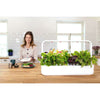 Spar King-Emsa 5261300 Click And Grow Substratkapsel Koriander Smart Garden Küche 3er Set