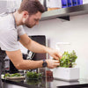 Spar King-Emsa 5261300 Click And Grow Substratkapsel Koriander Smart Garden Küche 3er Set