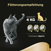 Spar King-Sheba Classics in Pastete Lachs Katzenfutter Nassfutter Adult Schälchen 22 x 85g